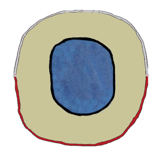 image of witchstone : Blue Moon image of witchstone : Blue Moon